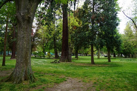 Bad Godesberg